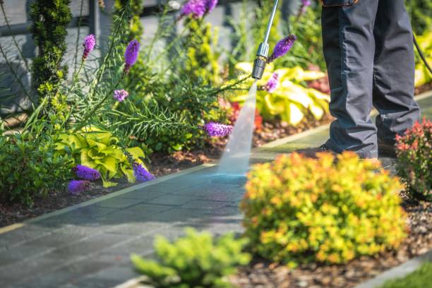 Best Parking Lot Cleaning in St Louis Park, MN