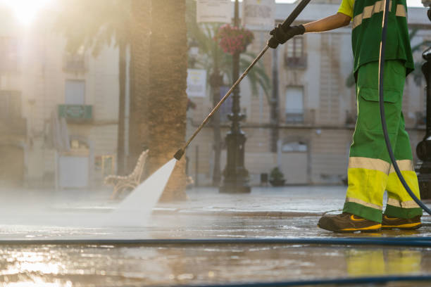 Best Gutter Cleaning and Brightening in St Louis Park, MN
